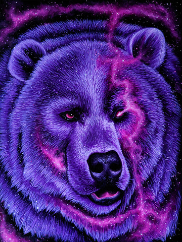 Cosmic Bear Print